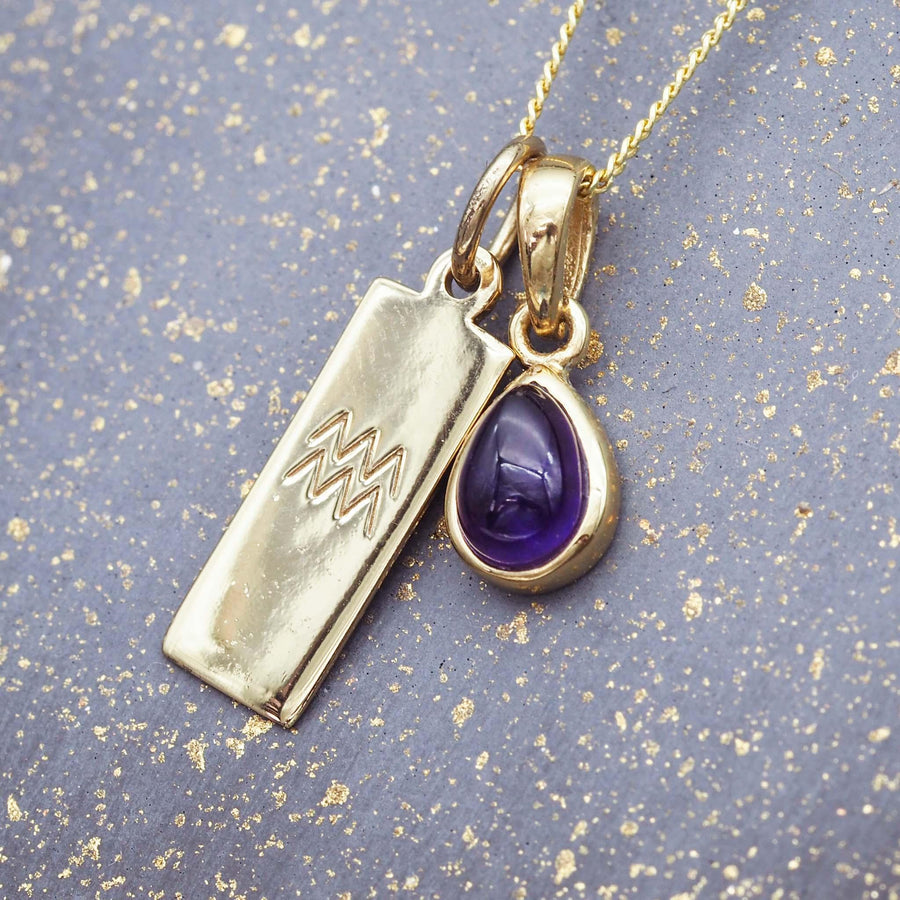 Zodiac Aquarius and february Birthstone amethyst Necklace - Gold Necklaces by Australian jewellery brand indie and harper