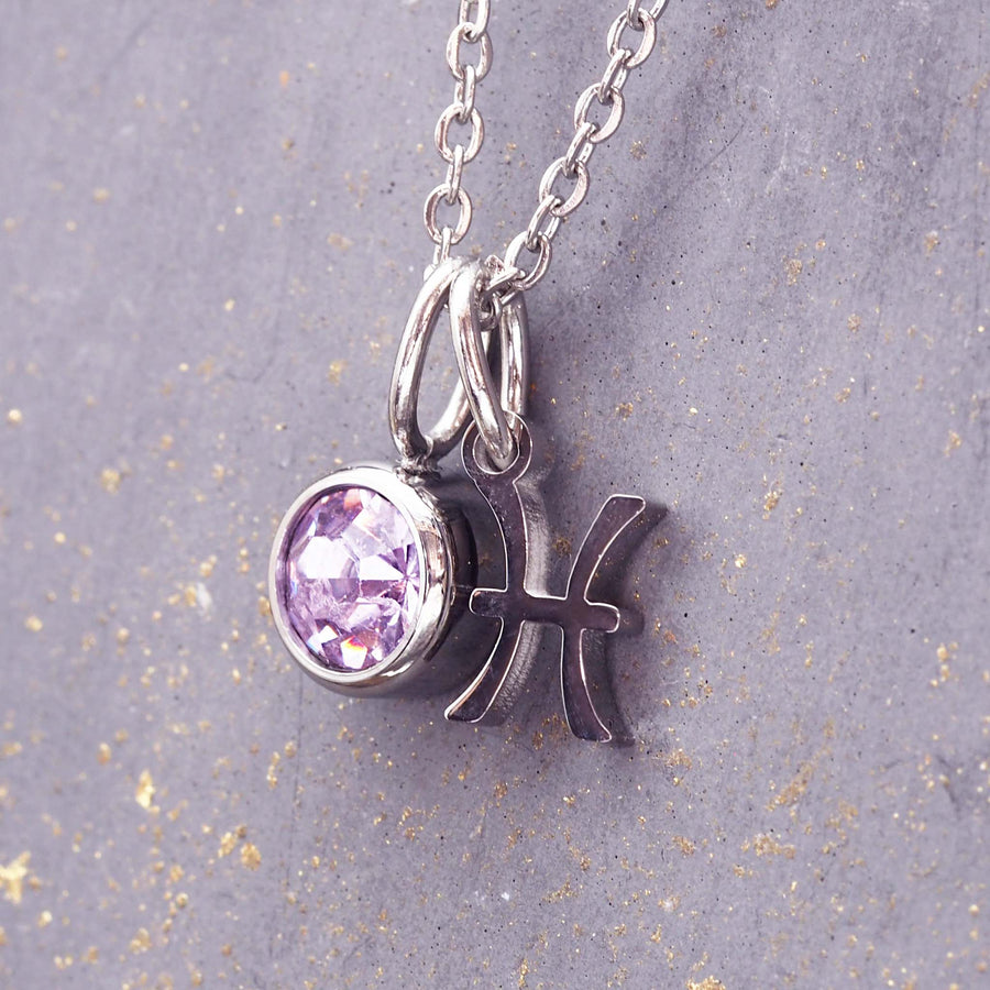 february pisces necklace - women's zodiac jewellery made with stainless steel and purple cubic zirconia - sale jewellery by indie and harper