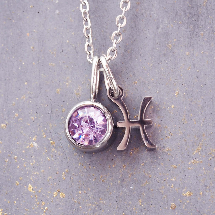 february pisces necklace - stainless steel waterprood necklace with purple cubic zirconia and pisces pendants - women's sale jewellery online by indie and harper