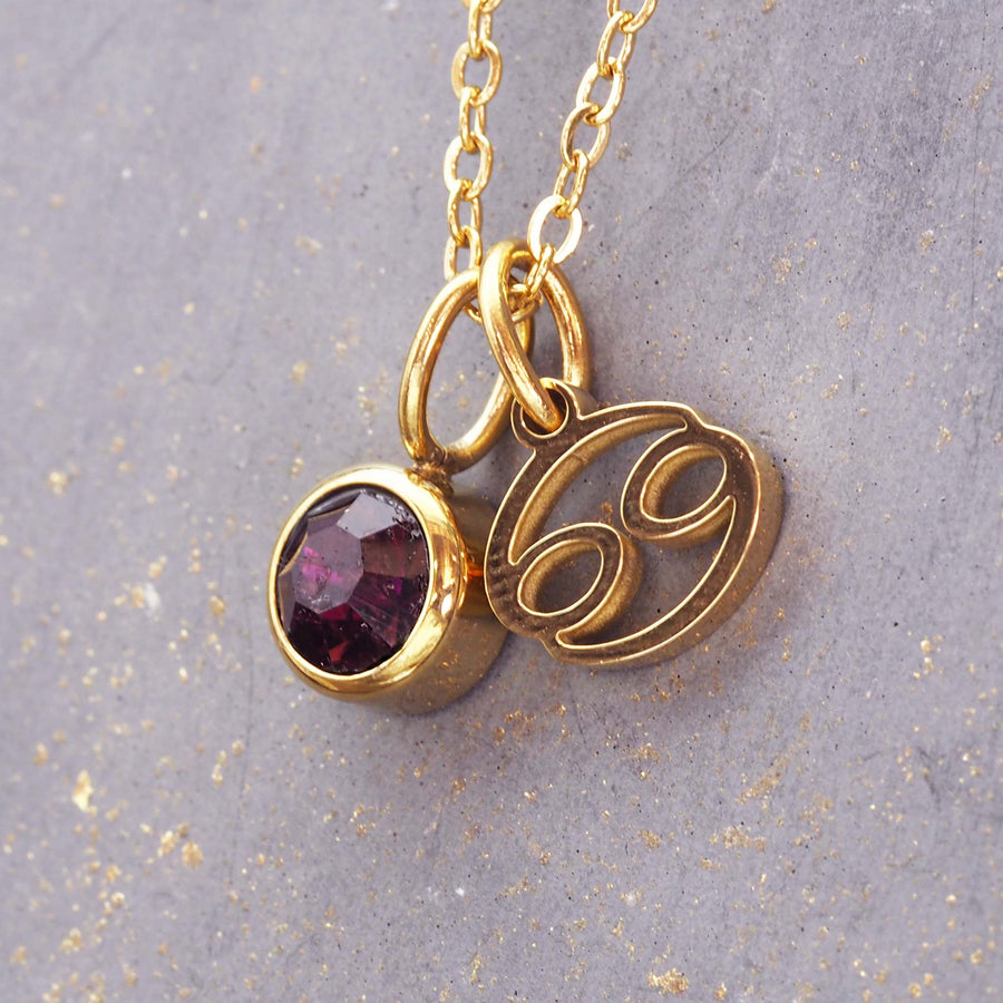 gold june cancer necklace - women's zodiac jewellery made with gold plating over stainless steel and deep purple cubic zirconia - women's sale jewellery by indie and harper