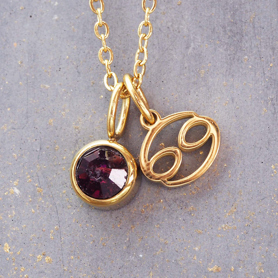 gold june cancer necklace - zodiac jewellery for women made with stainless steel, gold plating and deep purple cubic zirconia - waterproof jewellery online by indie and harper
