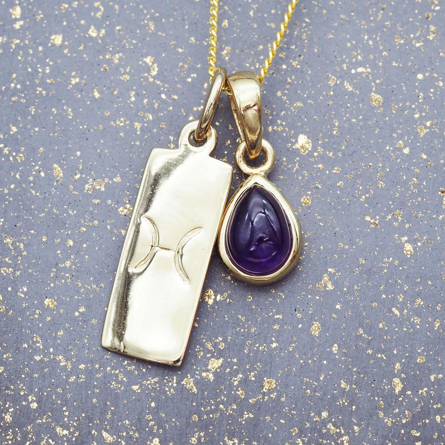 Zodiac Pisces and February Birthstone amethyst Necklace - Gold Necklaces by australian jewellery brand indie and harper