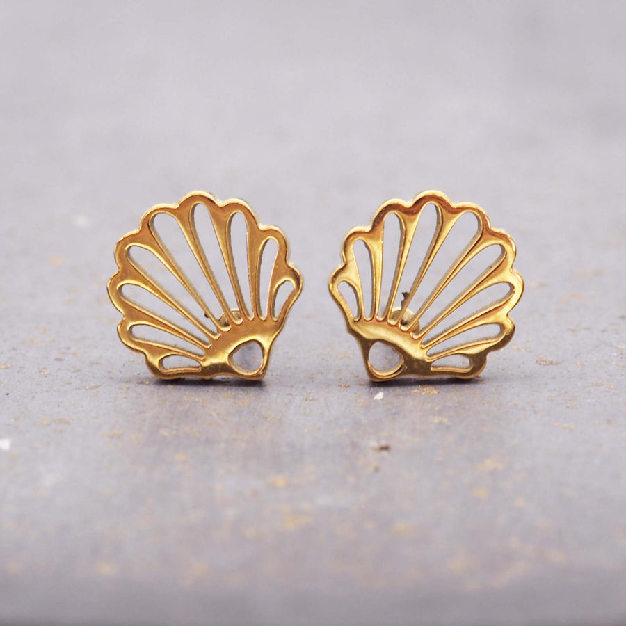 LIMITED EDITION - Seabound Shell Stud Earrings