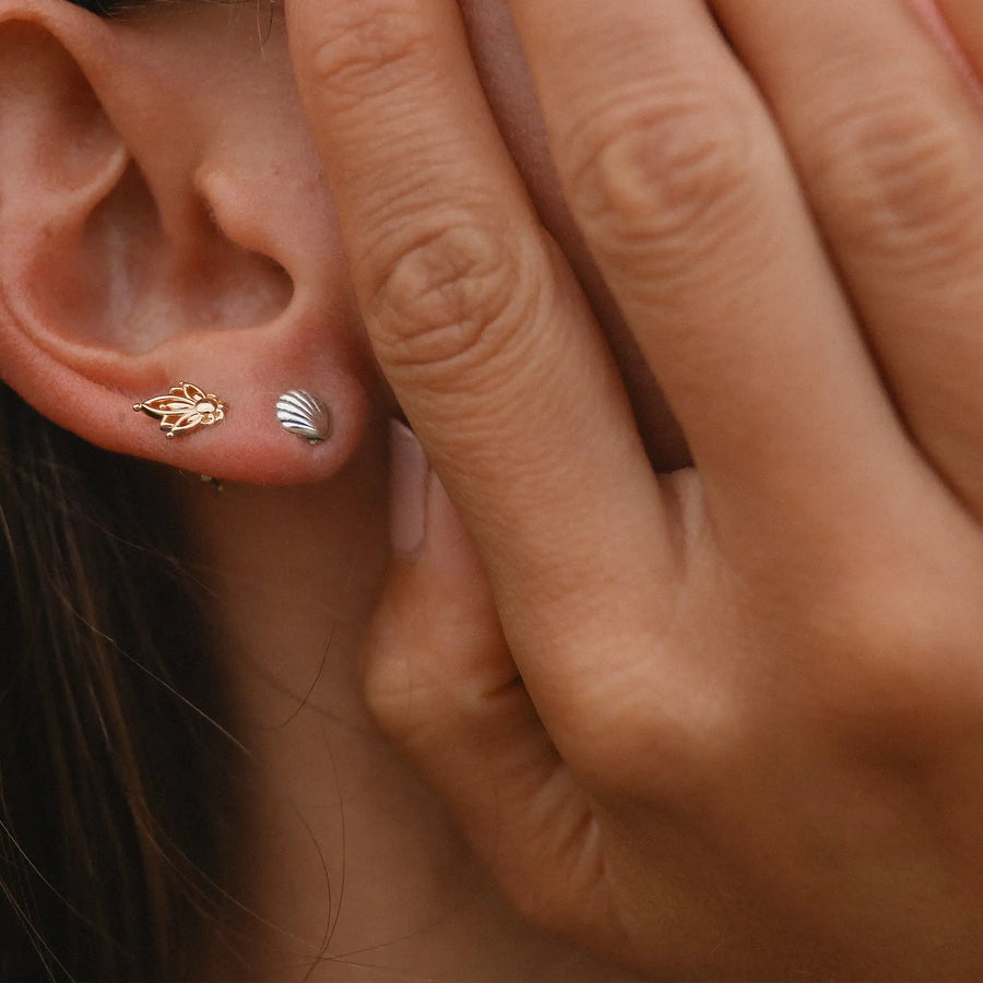 dainty Shell sterling silver Earrings - womens jewellery by australian jewellery brand indie and Harper 