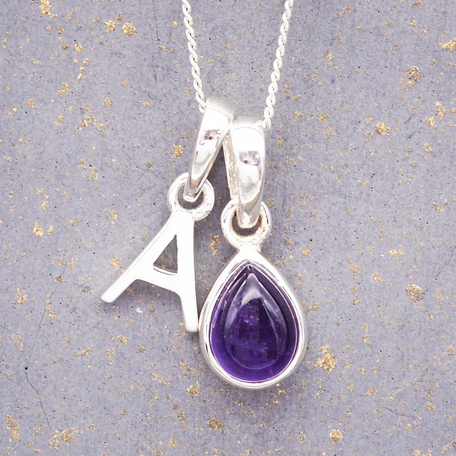 Silver Initial and February Amethyst Birthstone Necklace