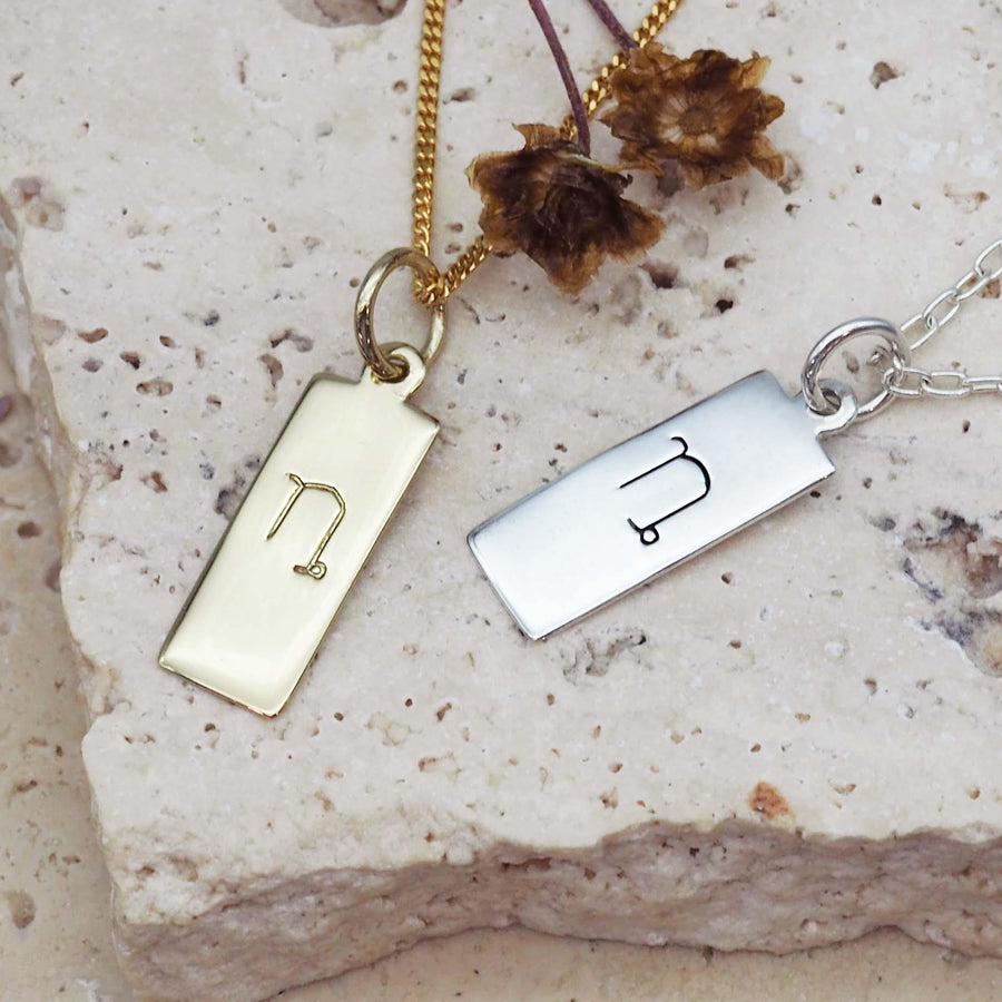 Capricorn Zodiac Necklaces in Gold and Sterling Silver - womens jewellery by australian jewellery brand indie and harper