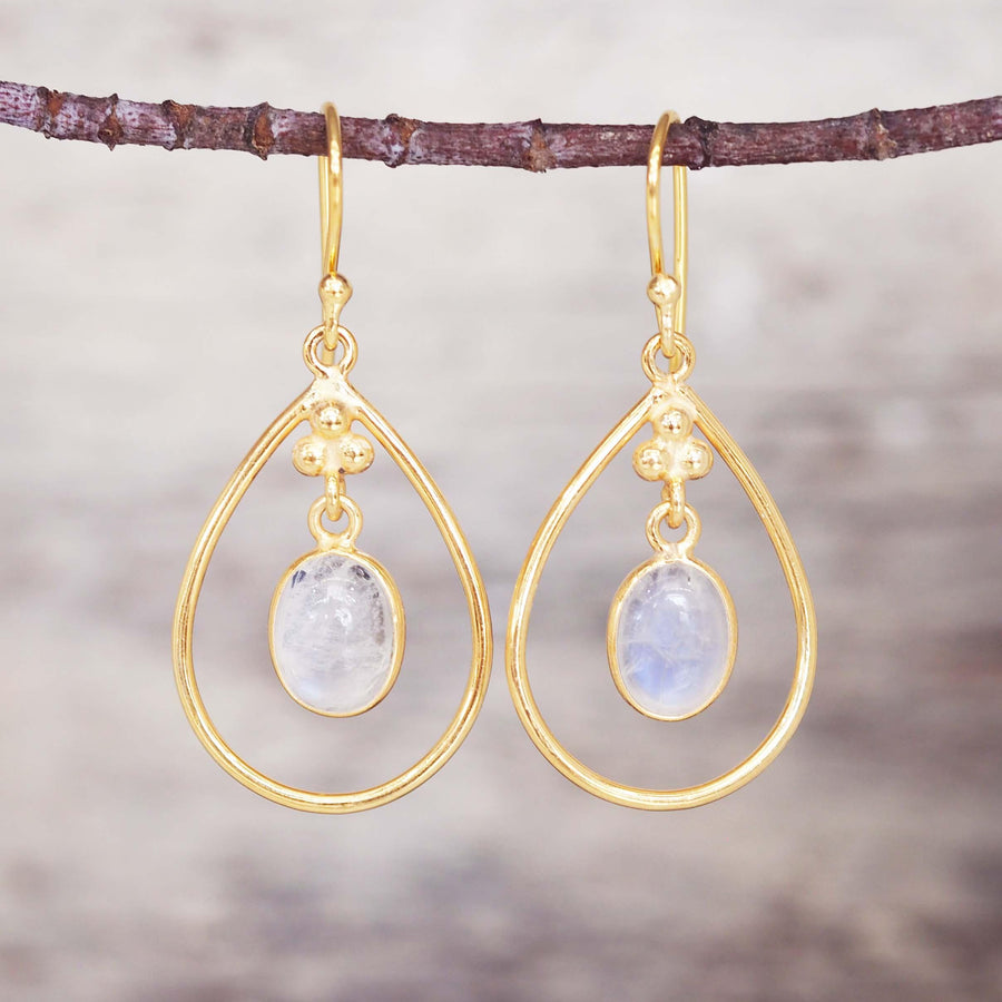 Gold Moonstone Earrings - womens jewellery by australian jewellery brands indie and harper