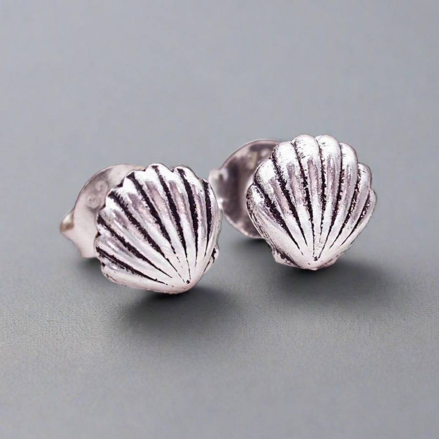 Sea Shell sterling silver Earrings - womens jewellery by australian jewellery brand indie and Harper 